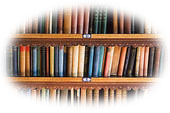 Monkey/BookshelfFuzzy.jpg